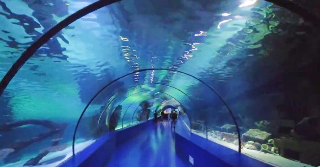 Experience Antalya Aquarium